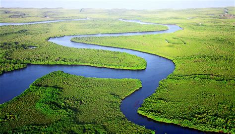 Rivers Cover A Lot More Of Earth Than We Thought Futurity
