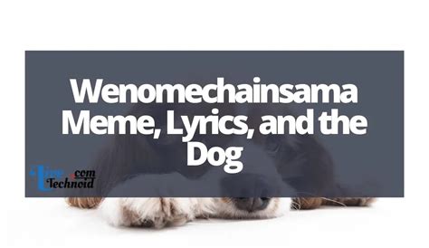 Wenomechainsama Memes Literatura Y El Perro My Cms