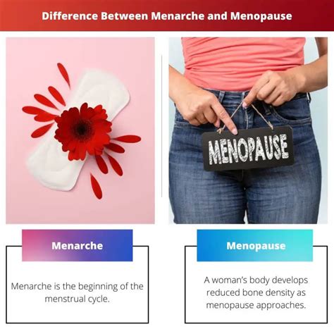 menarche vs menopause difference and comparison