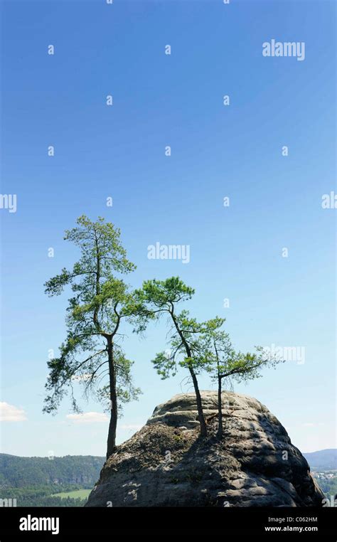 Bastion Rock Formation Elbsandsteingebirge Elbe Sandstone Mountains