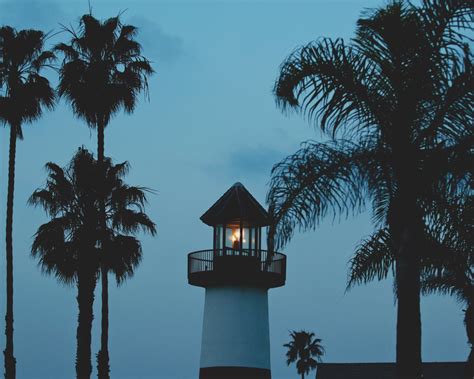 Lighthouse Palm Trees Silhouette Coastal Harbor Oceanside San