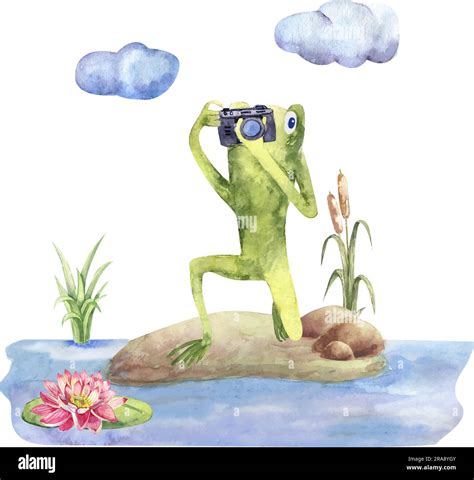 Funny Frog With A Camera On A Forest Lawn Watercolor Illustration
