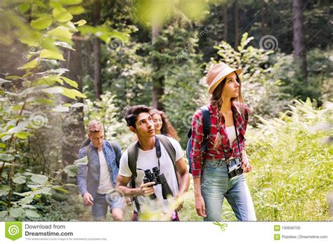 Teenagers With Backpacks Hiking In Forest Summer Vacation Stock Photo