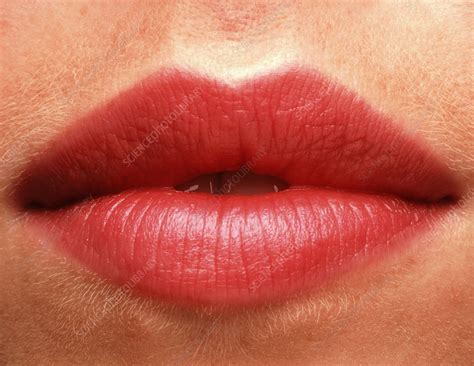 Close Up Of The Lips Of A Woman Front View Stock Image