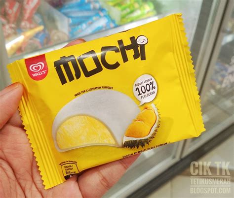 Cara buat aiskrim durian homemade. Blog Cik TK: WORDLESS WEDNESDAY 20#9: MENCUBA AISKRIM ...