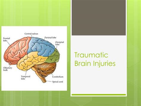 Ppt Traumatic Brain Injuries Powerpoint Presentation Free Download