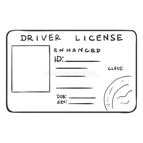 Vector Single Sketch Drivers Licence Stock Vector Illustration Of
