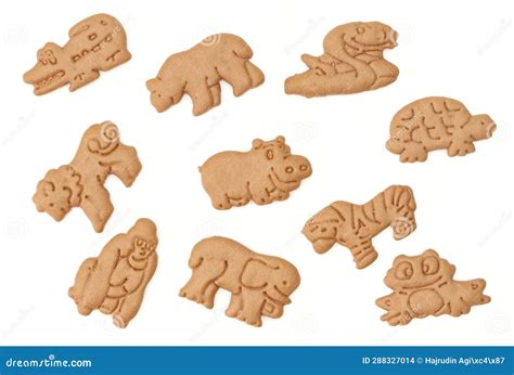 Collection Set Of Animal Shaped Cookies For Kids Isolated On White