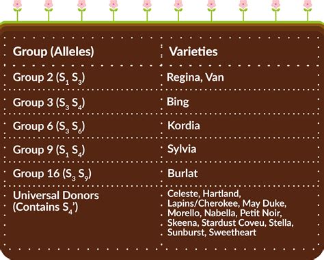 Cherry Fruit Trees Pollination And Varieties Guide The Primrose Blog