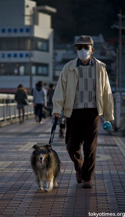 Japanese Dog Fashion — Tokyo Times