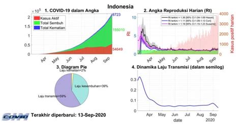 Covid Indonesia Puncak Gelombang Pertama Yang Tak Berujung