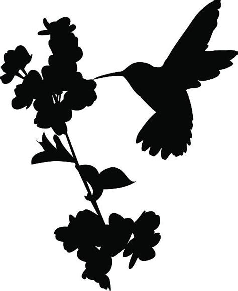 hummingbird flower silhouette