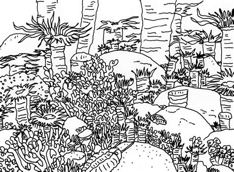 Coral reef coloring pages these pictures of this page are about:printable coloring pages coral reef fish. Corals Coloring Page - Coloring Home