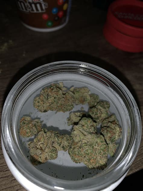 Stardawg X Northern Lights Rso Pacannabisculture