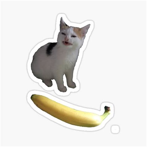 Angry Cat No Banana Angry Cat With Banana Meme Sticker For Sale By