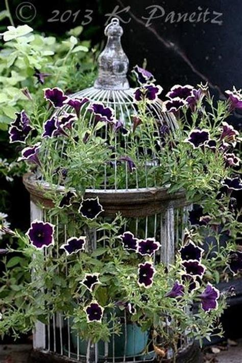unique vintage decor  beautiful flower arrangements  birdcages