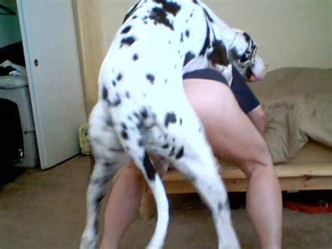 Dalmatian Gives A Very Nice Treat For A Sex Hungry Female Zoo Tube 1