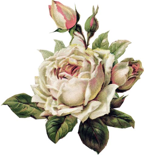 Vintage Rose Graphics Paper Crafts Vintage Pieces For Collage