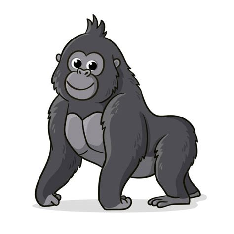 Gorilla Illustrations Royalty Free Vector Graphics And Clip Art Istock