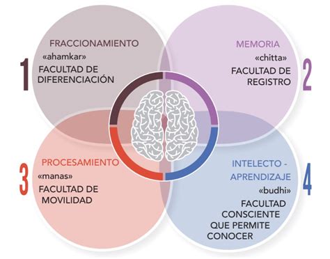 La Mente Educación Y Atención Eficiente