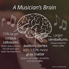 Since music is found to have amazing benefits to the brain, along with its functions, this only goes to show that music is really beneficial, especially when you start to study it seriously. Have a happy brain ~ Play Piano ~ | Piano teaching, Music education