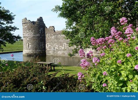 Castelo De Beaumaris Anglesey Gales Com Fosso E Flores Foto De Stock