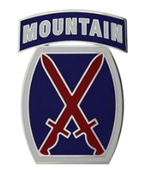 10th Mountain Division Combat Service Identification Badge Csib