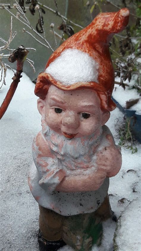 Gnome In The Wintergarden Snow Winter Garden Gnomes Garden