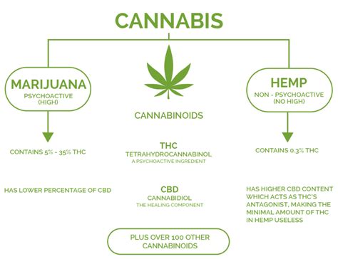 Hemp Vs Cbd Vs Thc Cannabis Care Clinic