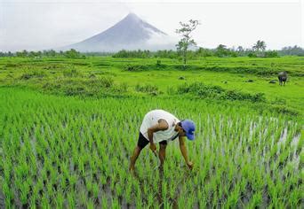 Ang pambansang kaunlaran ay tumutukoy sa kakayahan ng isang bansa na masuportahan ang lahat ng pangangailangan ng tao para sa. Kagandahan n magangand Lipunan: Kagandahan ng Mapayapang ...