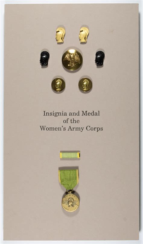 Lot Womens Army Corps Medal And Insignia Display
