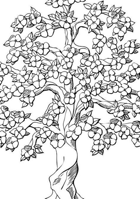 Pin by Robyn Blakely on my collections | Tree coloring page, Tree