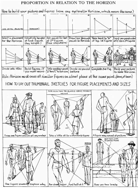 Proportions Of The Human Figure How To Draw The Human Figure In The