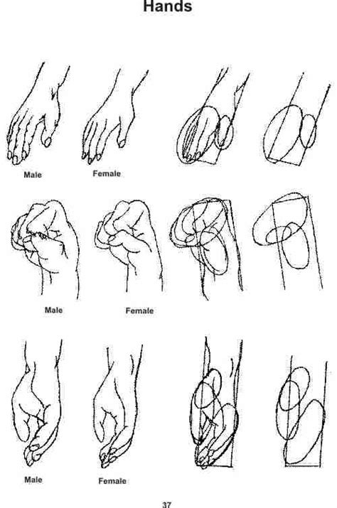 Hand on hip pose drawing at paintingvalley com explore collection. How to draw a simple hands | Simple, To draw and Anime