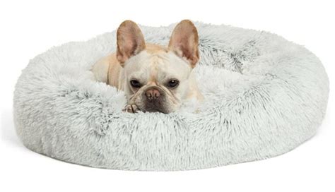 5 Best Dog Beds For French Bulldogs 2023 Buying Guide