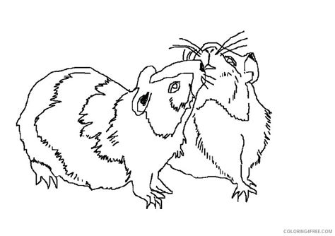 Maybe you would like to learn more about one of these? Hamster Coloring Pages Printable at GetDrawings | Free ...