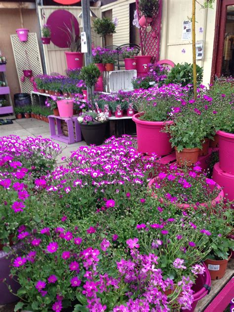 Each nichol's store stocks a comprehensive range of plants, seedlings, trees, shrubs and perennials, as well as giftware, home. Ferndale garden centre...clever colour blocking!!! Bebe ...