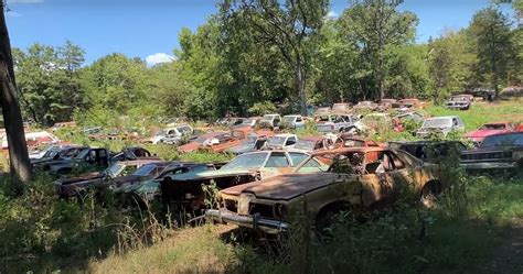 Barn Find Heaven Unveiled In 20 Acre Forest Full Of Abandoned Classic Cars