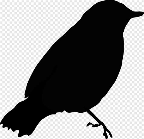 Burung gagak yang diambil tangan serangga vektor elemen hitam ai. Gambar Burung Gagak Hitam Putih - Crimealirik Page