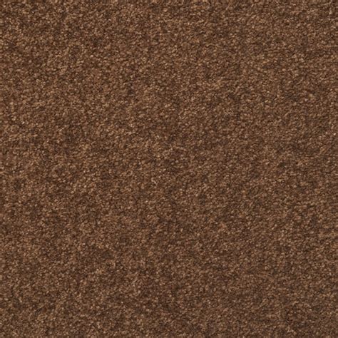 Stainmaster Influential Etching Brown Textured Carpet Interior In The