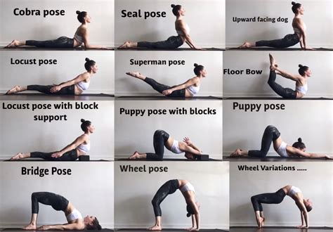 Back Flexibility Stretches Ashtanga Yoga Yoga Postures Yoga Sequences