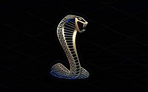 Cobra Snake Wallpaper Hd