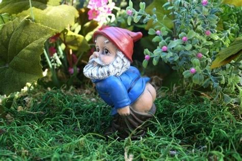 Funny Garden Gnomes Mooning Mooning Welcome Gnome With Pants Down