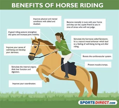 Horsey Friday Fun Facts Benefits Of Horseback Riding Horse Riding