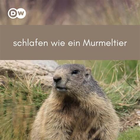 Ist ein ungewöhnliches projekt, das sich musikalisch und literarisch mit den unterschieden und gemeinsamkeiten der drei monotheistischen weltreligionen. DW Deutsch lernen - Folge 189: Die Berufswahl | Facebook