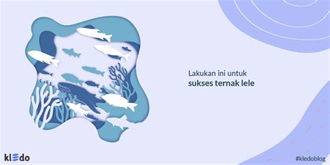 Ternak belut adalah salah satu bisnis budidaya hewan yang memiliki peluang besar dan prospek bagus di masa depan. Cara Lele Berkembang Biak - Wulan