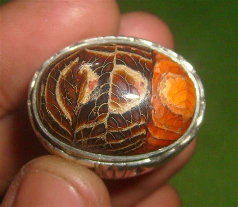 Mitra lokal adalah supplier batu dan pasir yang merupakan bahan tambang galian c yang berasal dari palu, sulawesi tengah. Batu Amber - Senyawa Padat Yang Berasal Dari Fosil ...