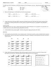 Worksheet dihybrid crosses unit 3 genetics answer key have a graphic associated with the otherworksheet dihybrid worksheet: Chapter 10 Dihybrid Cross Worksheet Answers Key