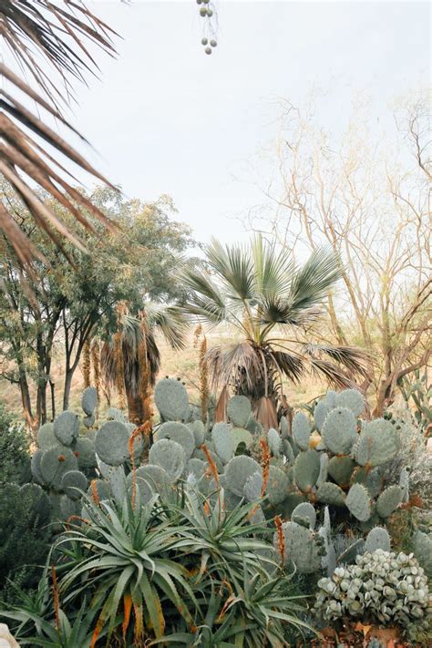 The san diego zoo, sea world, and the amazing weather. Sunsets and Succulent Gardens in Balboa Park — Local ...