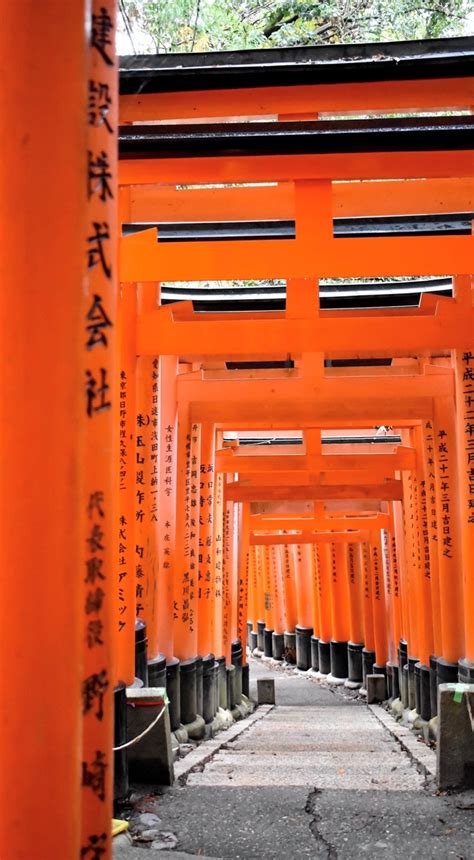 Il consolato rappresenta il governo britannico nel nord e parte del centro italia, fornisce assistenza e servizi consolari ai cittadini britannici residenti o in visita in italia. Fabio Accorrà. The colors of Japan - Mostre a Milano ...